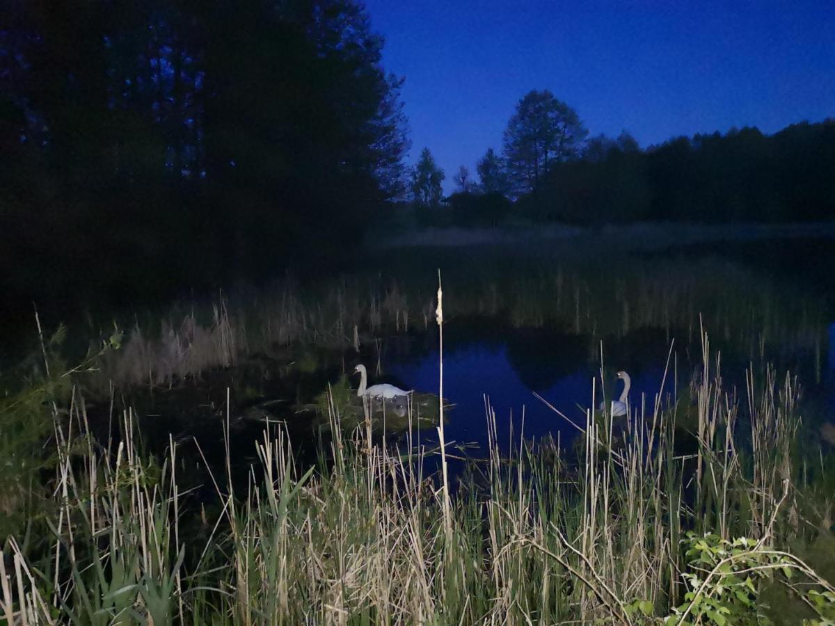 Mazurski Staw Gołdap Eksteriør bilde